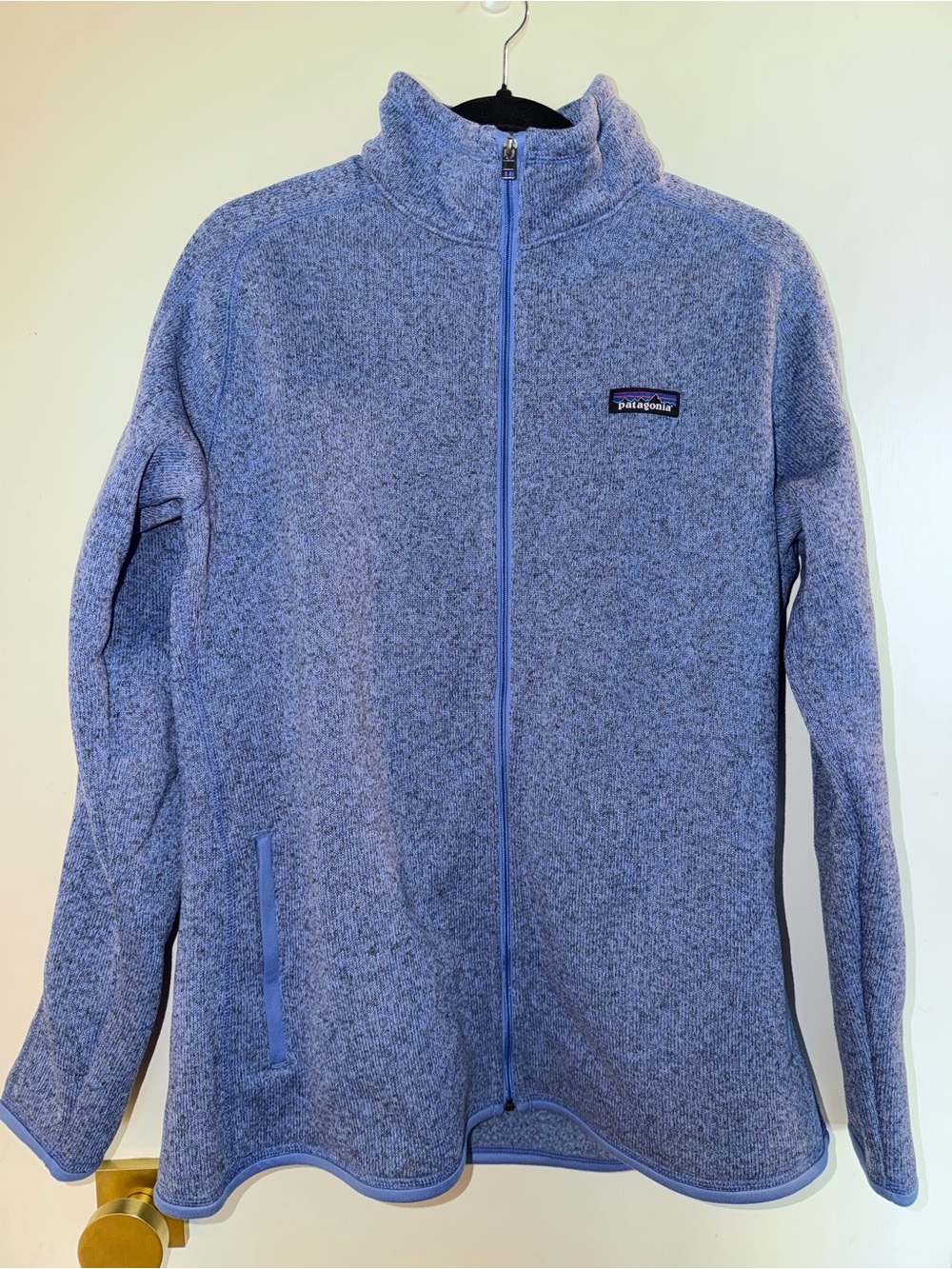 Patagonia Blue Full-Zip Fleece Jacket